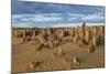 The Pinnacles Limestone Formations at Sunset in Nambung National Park-Michael Runkel-Mounted Photographic Print