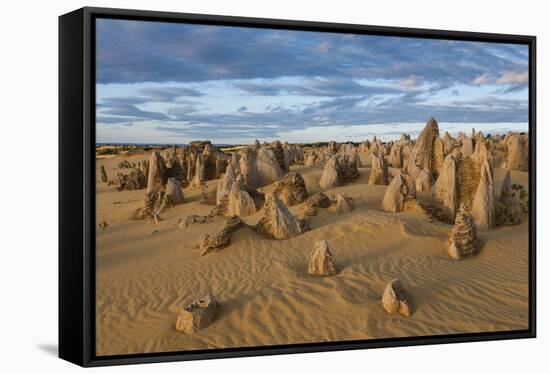The Pinnacles Limestone Formations at Sunset in Nambung National Park-Michael Runkel-Framed Stretched Canvas
