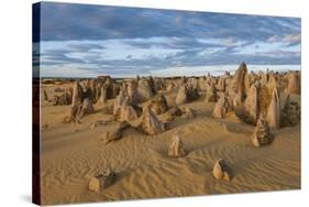 The Pinnacles Limestone Formations at Sunset in Nambung National Park-Michael Runkel-Stretched Canvas