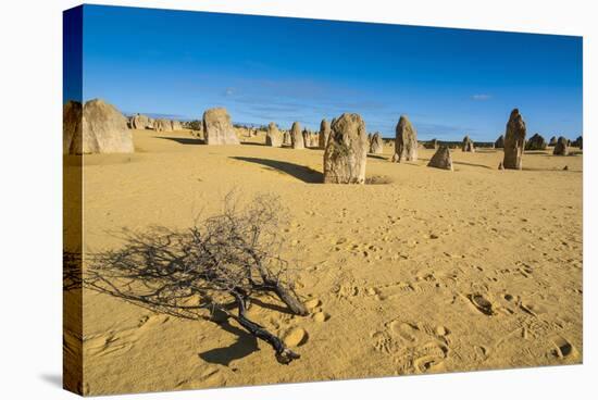 The Pinnacles Limestone Formations at Sunset in Nambung National Park-Michael Runkel-Stretched Canvas