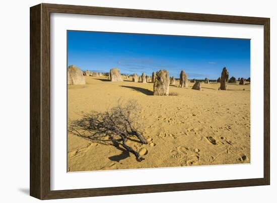 The Pinnacles Limestone Formations at Sunset in Nambung National Park-Michael Runkel-Framed Photographic Print