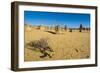 The Pinnacles Limestone Formations at Sunset in Nambung National Park-Michael Runkel-Framed Photographic Print