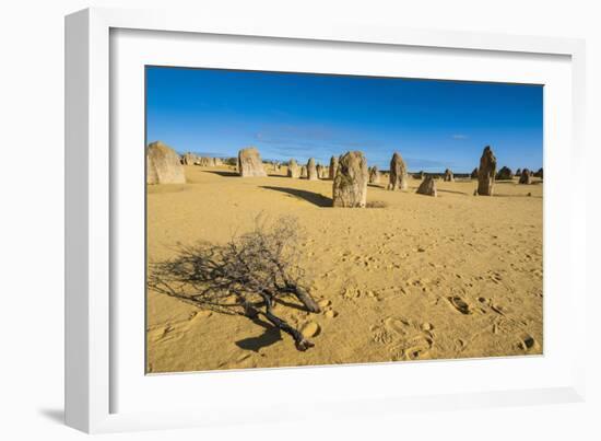 The Pinnacles Limestone Formations at Sunset in Nambung National Park-Michael Runkel-Framed Photographic Print