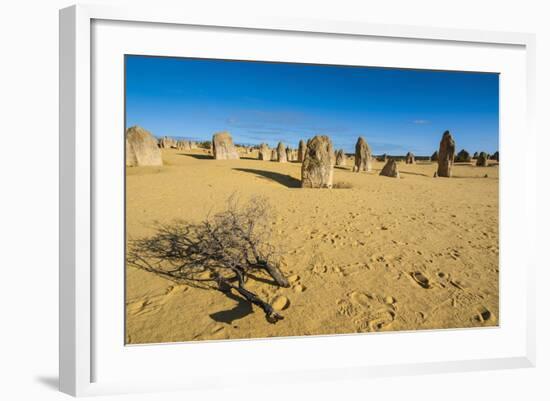 The Pinnacles Limestone Formations at Sunset in Nambung National Park-Michael Runkel-Framed Photographic Print