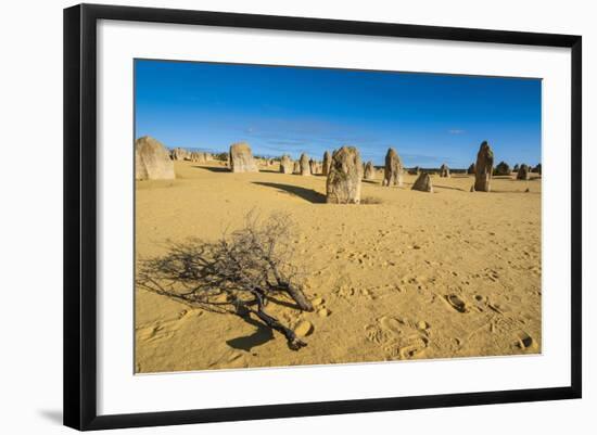 The Pinnacles Limestone Formations at Sunset in Nambung National Park-Michael Runkel-Framed Photographic Print