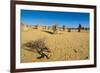 The Pinnacles Limestone Formations at Sunset in Nambung National Park-Michael Runkel-Framed Photographic Print