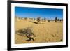 The Pinnacles Limestone Formations at Sunset in Nambung National Park-Michael Runkel-Framed Photographic Print