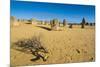 The Pinnacles Limestone Formations at Sunset in Nambung National Park-Michael Runkel-Mounted Photographic Print