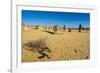 The Pinnacles Limestone Formations at Sunset in Nambung National Park-Michael Runkel-Framed Photographic Print