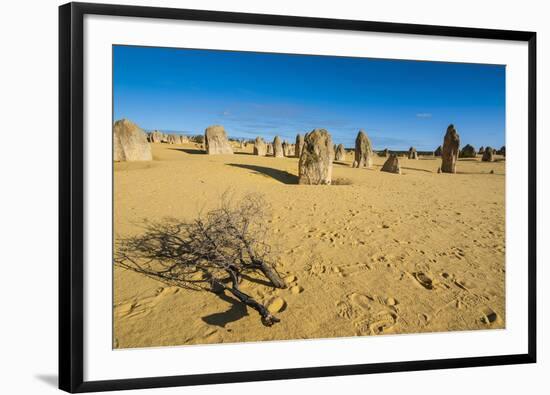 The Pinnacles Limestone Formations at Sunset in Nambung National Park-Michael Runkel-Framed Photographic Print