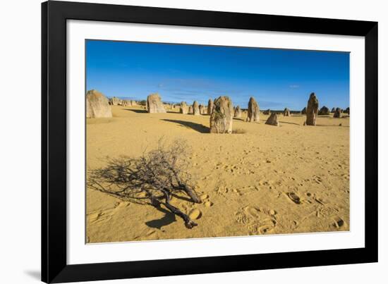 The Pinnacles Limestone Formations at Sunset in Nambung National Park-Michael Runkel-Framed Photographic Print