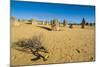 The Pinnacles Limestone Formations at Sunset in Nambung National Park-Michael Runkel-Mounted Photographic Print