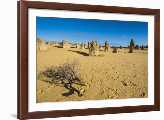 The Pinnacles Limestone Formations at Sunset in Nambung National Park-Michael Runkel-Framed Photographic Print