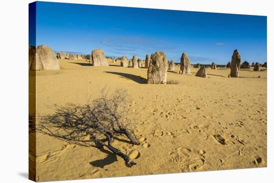 The Pinnacles Limestone Formations at Sunset in Nambung National Park-Michael Runkel-Stretched Canvas