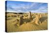 The Pinnacles Limestone Formations at Sunset in Nambung National Park-Michael Runkel-Stretched Canvas