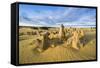 The Pinnacles Limestone Formations at Sunset in Nambung National Park-Michael Runkel-Framed Stretched Canvas