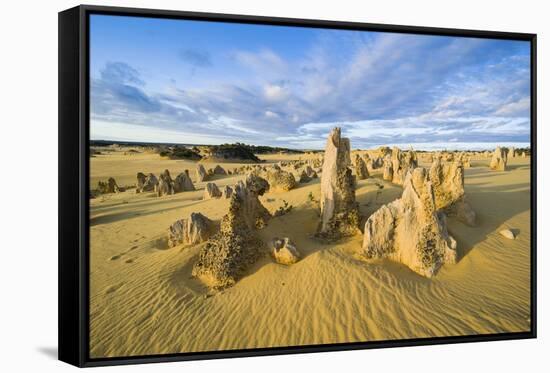 The Pinnacles Limestone Formations at Sunset in Nambung National Park-Michael Runkel-Framed Stretched Canvas