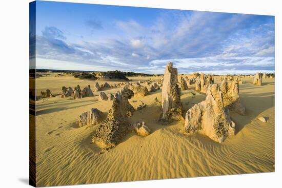 The Pinnacles Limestone Formations at Sunset in Nambung National Park-Michael Runkel-Stretched Canvas