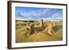 The Pinnacles Limestone Formations at Sunset in Nambung National Park-Michael Runkel-Framed Photographic Print