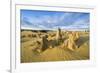 The Pinnacles Limestone Formations at Sunset in Nambung National Park-Michael Runkel-Framed Photographic Print