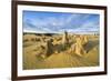 The Pinnacles Limestone Formations at Sunset in Nambung National Park-Michael Runkel-Framed Photographic Print