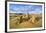 The Pinnacles Limestone Formations at Sunset in Nambung National Park-Michael Runkel-Framed Photographic Print