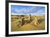 The Pinnacles Limestone Formations at Sunset in Nambung National Park-Michael Runkel-Framed Photographic Print