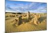 The Pinnacles Limestone Formations at Sunset in Nambung National Park-Michael Runkel-Mounted Photographic Print