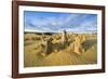 The Pinnacles Limestone Formations at Sunset in Nambung National Park-Michael Runkel-Framed Photographic Print