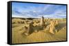 The Pinnacles Limestone Formations at Sunset in Nambung National Park-Michael Runkel-Framed Stretched Canvas