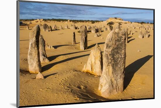 The Pinnacles Limestone Formations at Sunset in Nambung National Park-Michael Runkel-Mounted Photographic Print