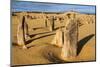 The Pinnacles Limestone Formations at Sunset in Nambung National Park-Michael Runkel-Mounted Photographic Print