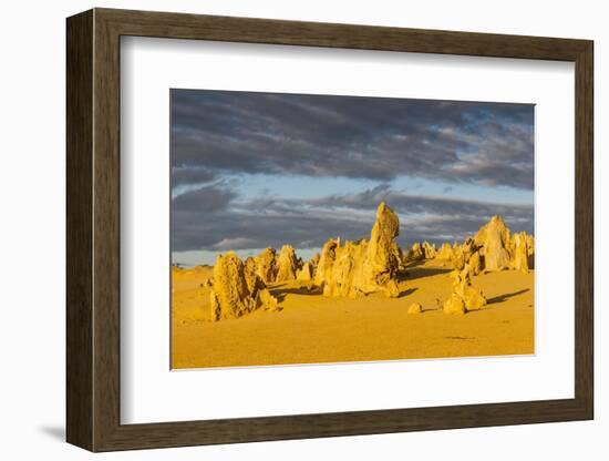 The Pinnacles Limestone Formations at Sunset in Nambung National Park-Michael Runkel-Framed Photographic Print