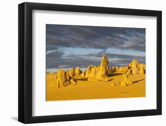 The Pinnacles Limestone Formations at Sunset in Nambung National Park-Michael Runkel-Framed Photographic Print