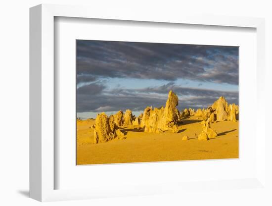 The Pinnacles Limestone Formations at Sunset in Nambung National Park-Michael Runkel-Framed Photographic Print