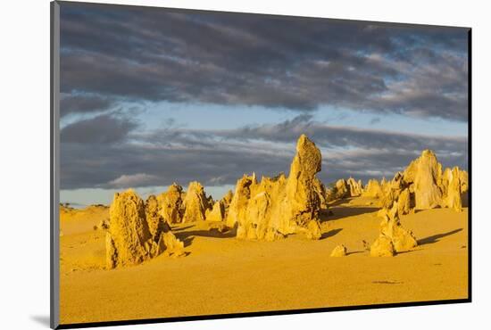 The Pinnacles Limestone Formations at Sunset in Nambung National Park-Michael Runkel-Mounted Photographic Print