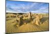 The Pinnacles Limestone Formations at Sunset in Nambung National Park-Michael Runkel-Mounted Photographic Print