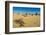 The Pinnacles Limestone Formations at Sunset in Nambung National Park-Michael Runkel-Framed Photographic Print