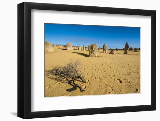 The Pinnacles Limestone Formations at Sunset in Nambung National Park-Michael Runkel-Framed Photographic Print