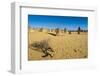 The Pinnacles Limestone Formations at Sunset in Nambung National Park-Michael Runkel-Framed Photographic Print