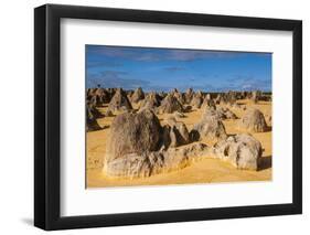 The Pinnacles Limestone Formations at Sunset in Nambung National Park-Michael Runkel-Framed Photographic Print