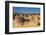 The Pinnacles Limestone Formations at Sunset in Nambung National Park-Michael Runkel-Framed Photographic Print