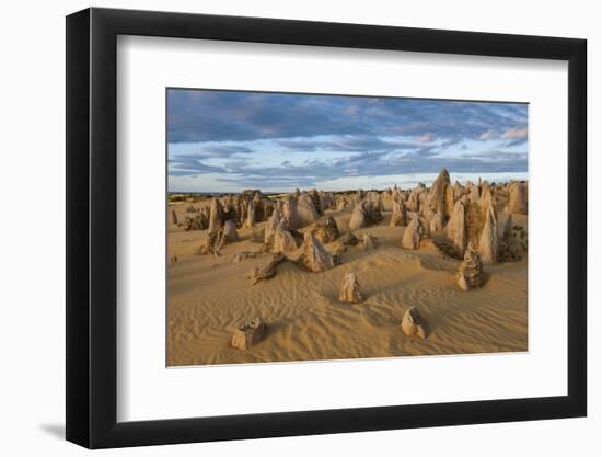 The Pinnacles Limestone Formations at Sunset in Nambung National Park-Michael Runkel-Framed Photographic Print