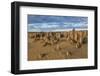 The Pinnacles Limestone Formations at Sunset in Nambung National Park-Michael Runkel-Framed Photographic Print