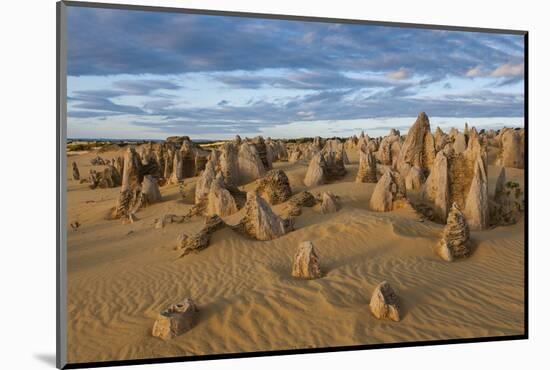 The Pinnacles Limestone Formations at Sunset in Nambung National Park-Michael Runkel-Mounted Photographic Print