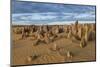 The Pinnacles Limestone Formations at Sunset in Nambung National Park-Michael Runkel-Mounted Photographic Print