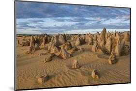 The Pinnacles Limestone Formations at Sunset in Nambung National Park-Michael Runkel-Mounted Photographic Print