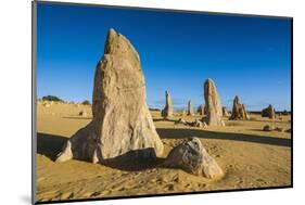 The Pinnacles Limestone Formations at Sunset in Nambung National Park-Michael Runkel-Mounted Photographic Print