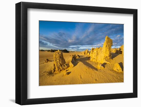 The Pinnacles Limestone Formations at Sunset in Nambung National Park-Michael Runkel-Framed Photographic Print