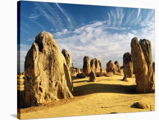 The Pinnacles-Robert Essel-Stretched Canvas